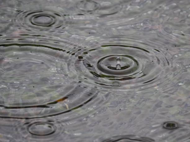 Rain drops forming circles in pond