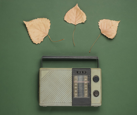 Retro fm radio receiver on green background with fallen autumn leaves. Top view