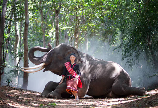 istock Woman Sitting By Elephant In Forest 1194267180