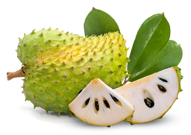 Soursop or Custard apple fruit isolated on white background Soursop or Custard apple fruit isolated on white background annona muricata stock pictures, royalty-free photos & images
