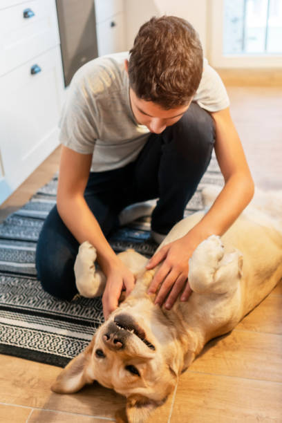 istock Teen boy playing with his dog 1194270286