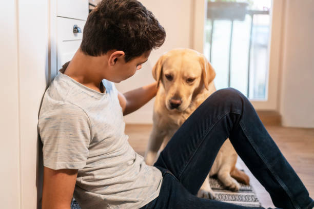 istock Teen boy playing with his dog 1194270301