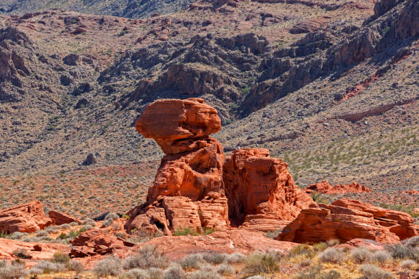 istock Valley of Fire State Park, Nevada, USA 1194271377