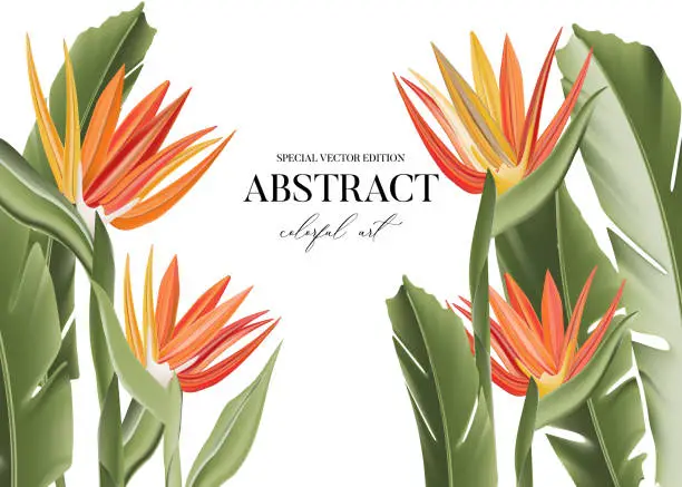 Vector illustration of Bird of paradise graphic card design. Modern 3d realistic vector card with exotic flowers vertical graphics, jungle botanical art for banner, advertising, invitation. Summer flower bloom