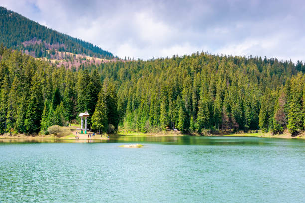 istock lake among the coniferous forest in mountains 1194275519