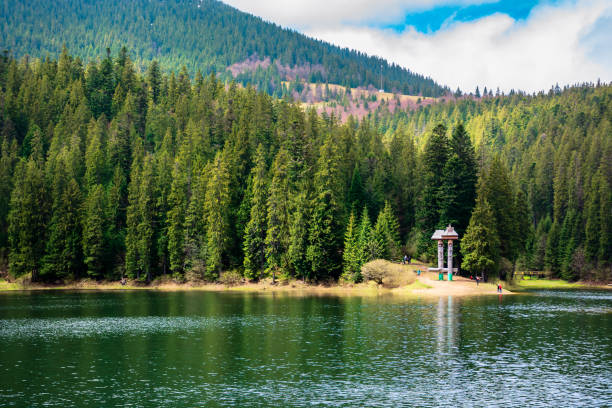 istock lake among the coniferous forest in mountains 1194275670