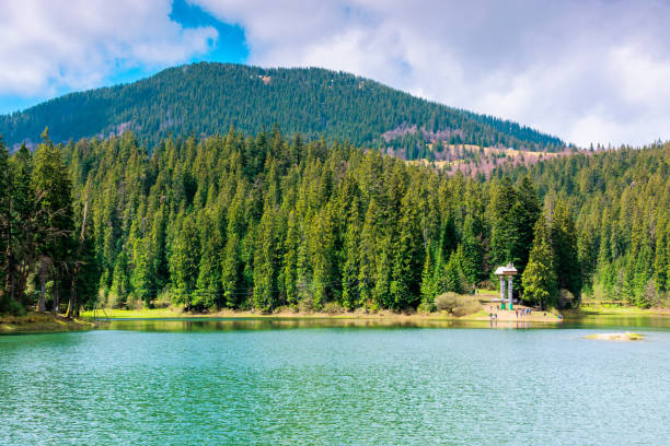 istock lake among the coniferous forest in mountains 1194275747
