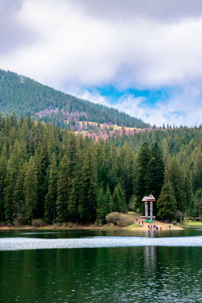 istock lake among the coniferous forest in mountains 1194275892