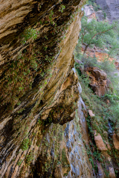 istock Weeping Rock, Zion National Park, Utah, USA 1194277730