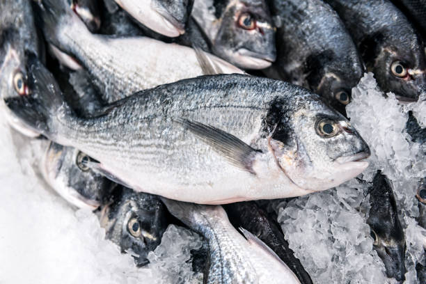 istock fresh dorado fish on ice 1194279673