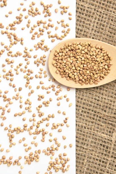 istock Scattered buckwheat grains. White background. Wooden spoon 1194279793