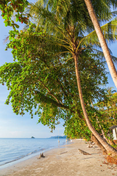 istock Tropical palm tree on beautiful beach at Koh Chang island 1194282379