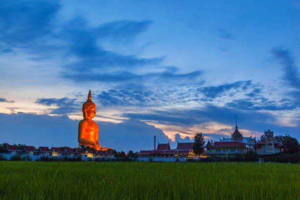 Green rice paddy field with biggest buddha image at suset twilight stock photo