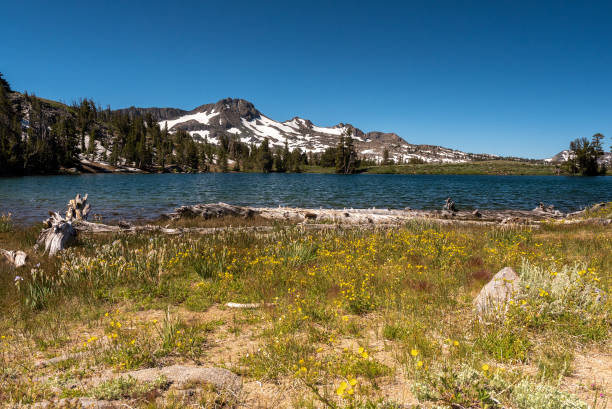 istock Day view of Frog Lake 1194282414