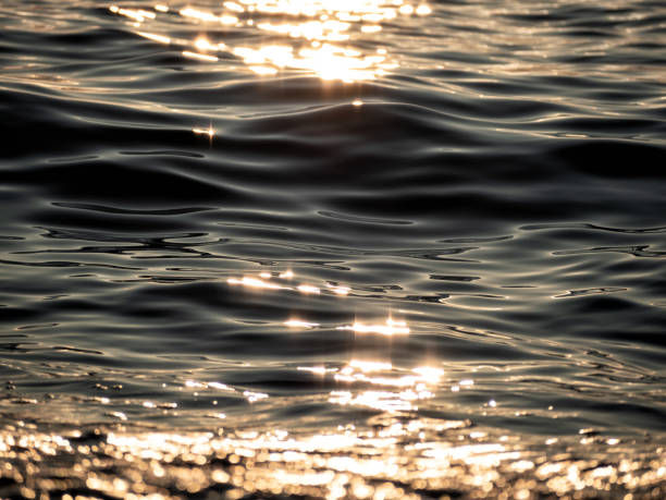 Water rippled surface with sunshine Closeup of water rippled surface with sunshine at sunset evening time glittering sea stock pictures, royalty-free photos & images