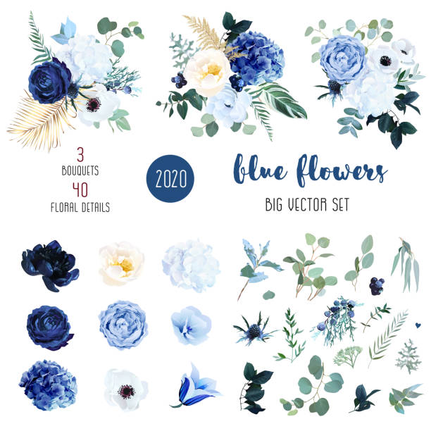 Classic blue, white rose, white hydrangea, ranunculus Classic blue, white rose, white hydrangea, ranunculus, campanula, anemone, peony, thistle flowers,greenery and eucalyptus,berry, juniper big vector set.Trendy color collection. Isolated and editable flowers stock illustrations