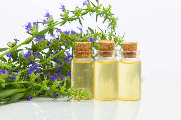 istock hyssop essential oil in  beautiful bottle on White background 1194283114