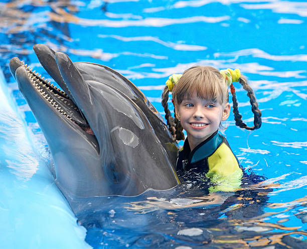 Happy child and dolphin in blue water. stock photo