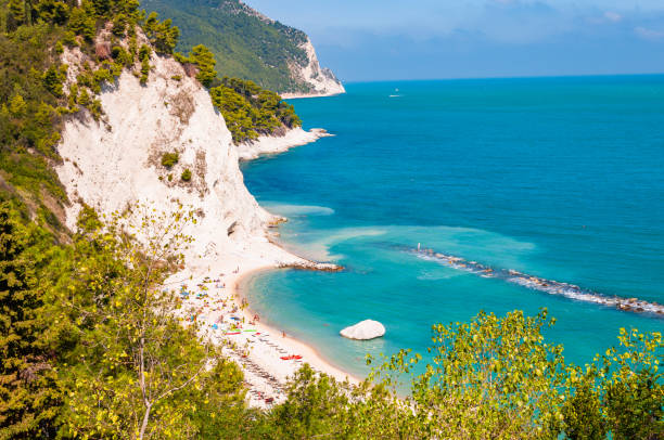 아드리아 해의 파도와 바람에 의해 침식 높은 거대한 흰색 석회암 바위 절벽에 둘러싸인 누마나, 안코나, 이탈리아의 아름다운 해안선. 바위 산에서 자라는 녹색 소나무. - spiaggia grande cliff beach landscape 뉴스 사진 이미지
