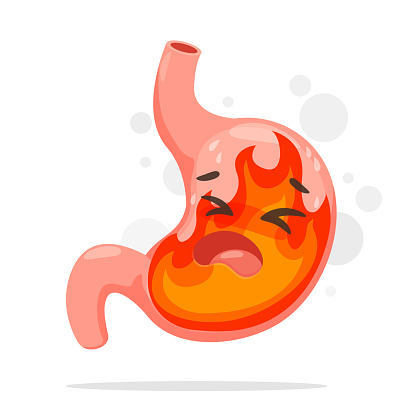 Cartoon Stomach Suffering From Acid Reflux A Stomach That Burning Like A  Fire From Acid Reflux Stock Illustration - Download Image Now - iStock