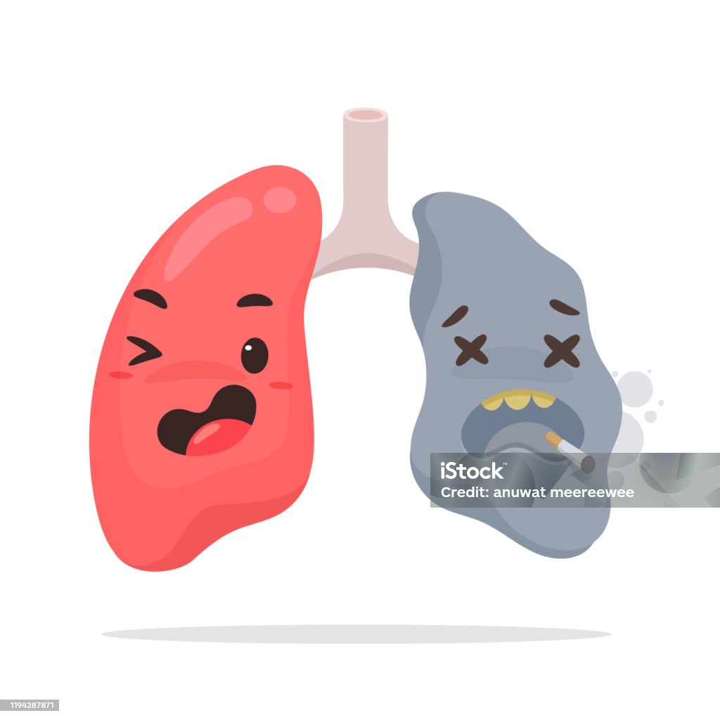Desene animate fumat plămâni. Vectorii pulmonari sănătoși și leziunile pulmonare cauzate de țigări provoacă tuse severă. - vector de stoc (-)-nicotine fără redevențe