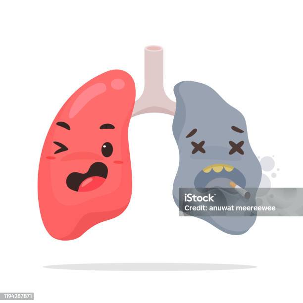 Ilustrații de stoc cu Desene Animate Fumat Plămâni Vectorii Pulmonari Sănătoși Și Leziunile Pulmonare Cauzate De Țigări Provoacă Tuse Severă - Descarca imaginea acum