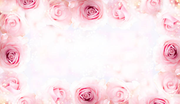 istock Festive still life with pink roses. 1194288760