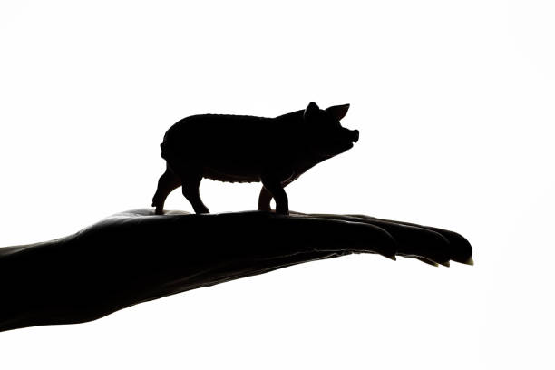istock Domestic pig silhouette 1194290197