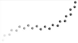 Paw Print Animation 4k Video Stock Video Stock Video - Download Video Clip  Now - Dog, Animation - Moving Image, Cartoon - iStock