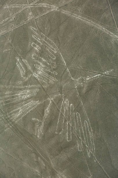 istock Nazca lines on desert in Peru, South America 1194290651