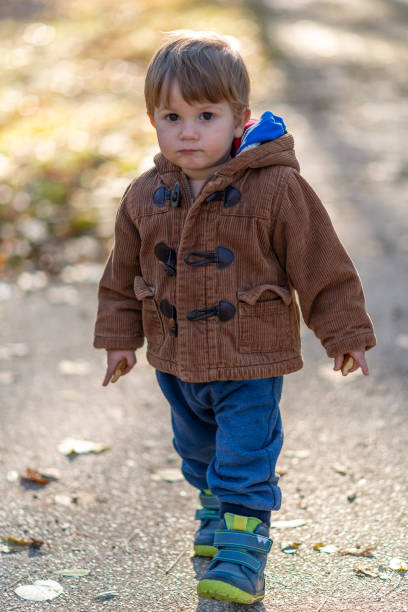 istock Little boy standing in autumn park 1194292007