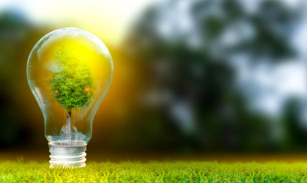 istock Renewable energy concept Earth Day or environment protection Hands protect forests that grow on the ground and help save the world. 1194292511