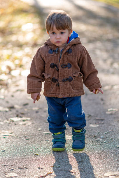 istock Little boy standing in autumn park 1194292828