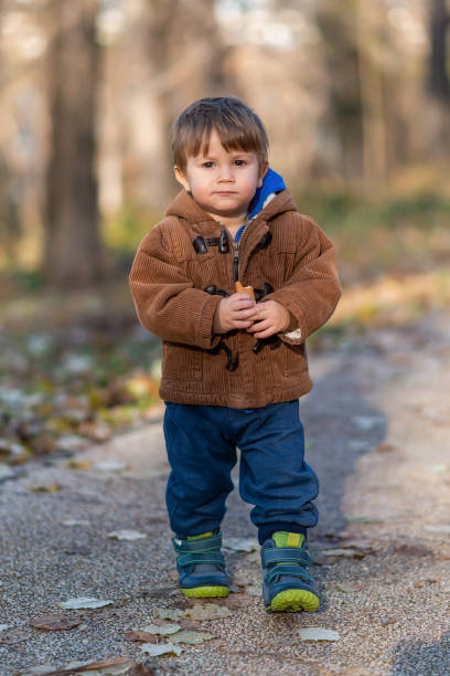 istock Little boy standing in autumn park 1194293610