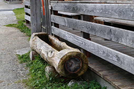 Water trough made out of tree trunk in the alps.