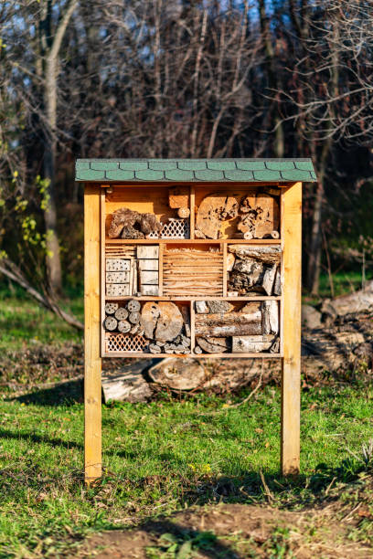 istock Insect hotel or house in park 1194297018