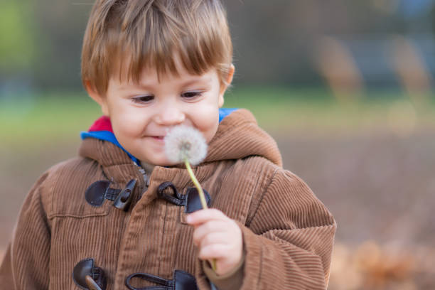 istock Boy smelling dandelion flowers in public park 1194297480