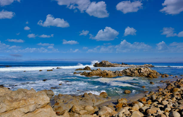 istock Coast of Pacific Grove California 1194298940