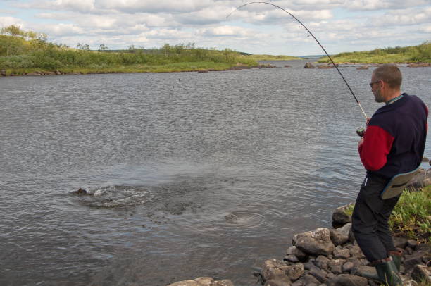 рыбак ловит большого лосося в северной реке. - catch of fish water river salmon стоковые фото и изображения