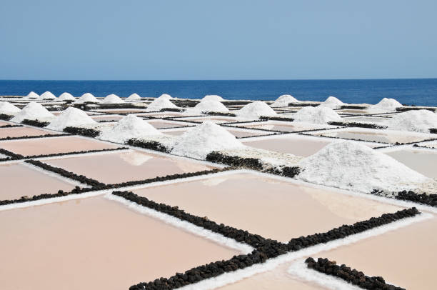 istock Sea-salt - Canary islands 1194302002