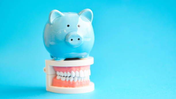 Piggy bank with White teeth model on blue background. tax offset concept. Medical Expense Deductions and Tax Breaks. affordable care act. high cost health care. dental expenses stock photo