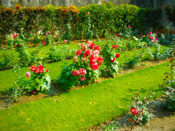 istock The rose garden 1194308475