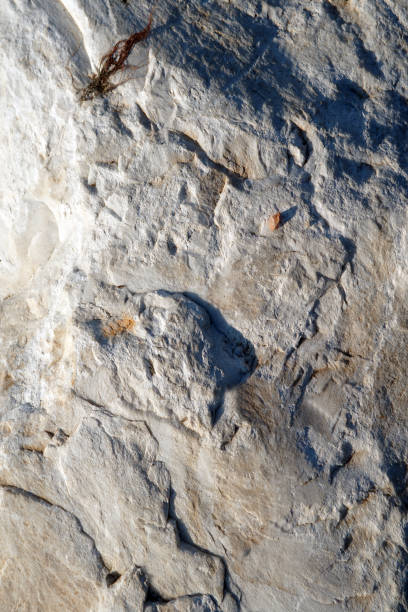 istock Cross section of rock 1194310184
