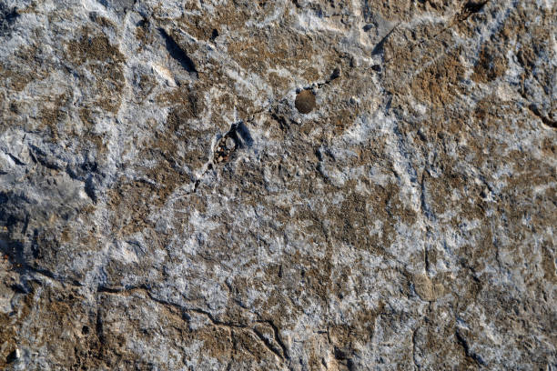 istock Cross section of rock 1194311451
