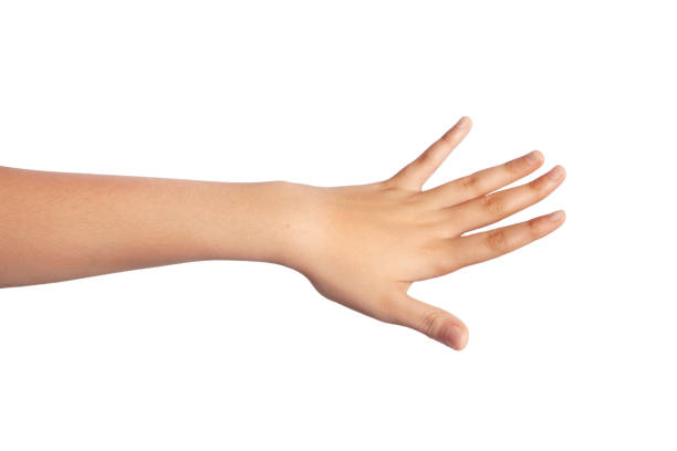 istock woman hand on the white background 1194312531