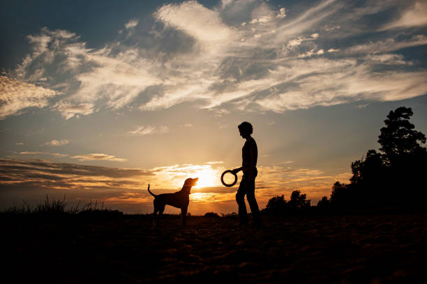 istock owner and dog silhouettes, playing on the beach 1194315461