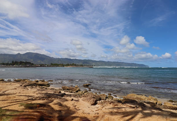 istock natural beach on Hawaii Oahu 1194316722