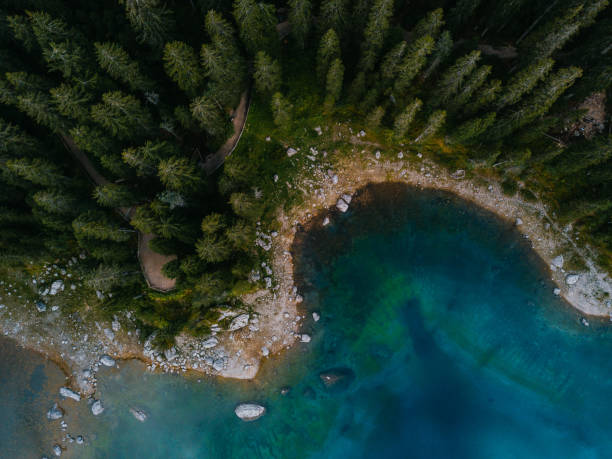 istock drone shot of lago di Carezza and Latemar forest 1194324227