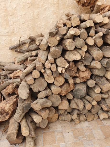 Olive lela to heat houses by burning it in modern and open fireplaces