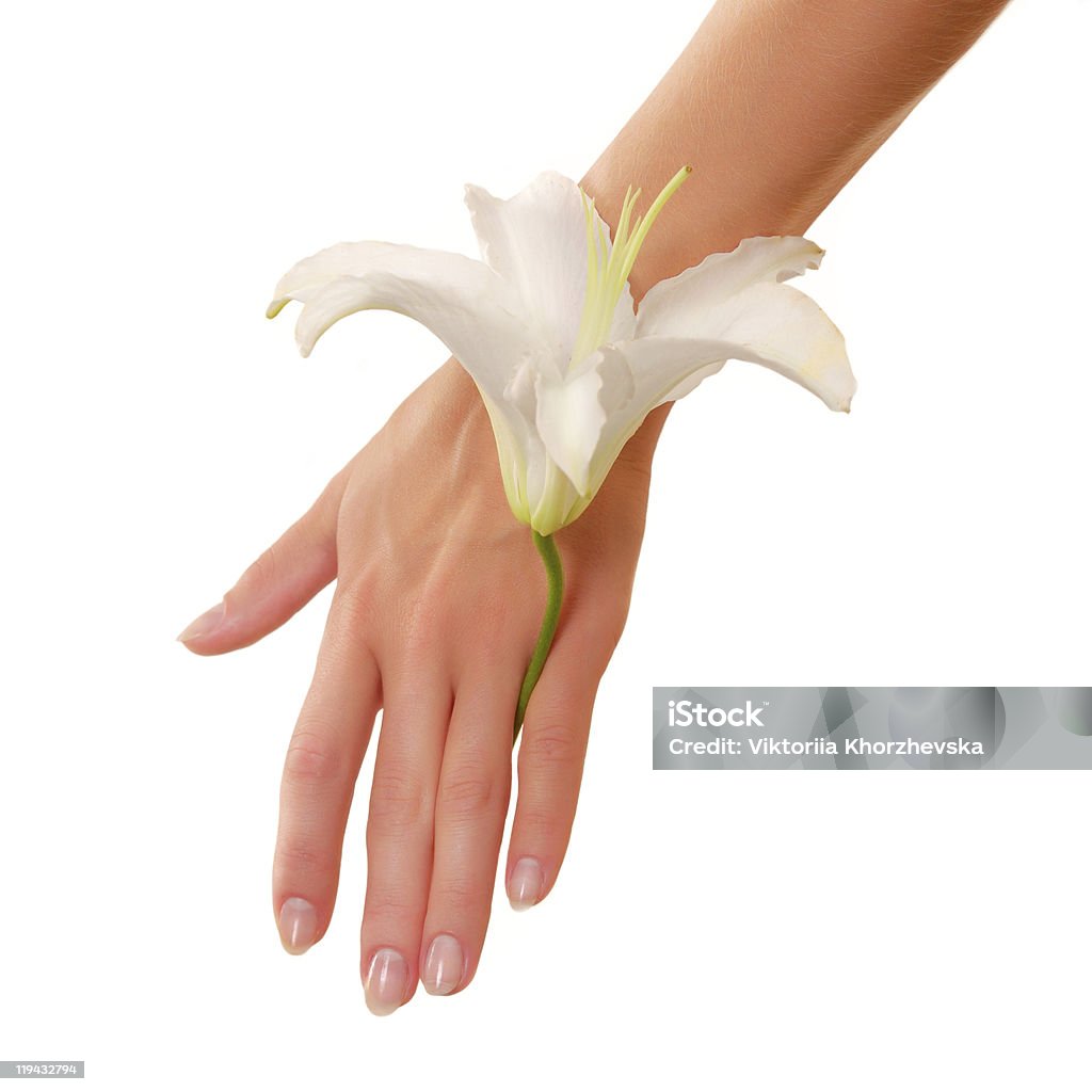 Weibliche hand mit lily flower - Lizenzfrei Attraktive Frau Stock-Foto